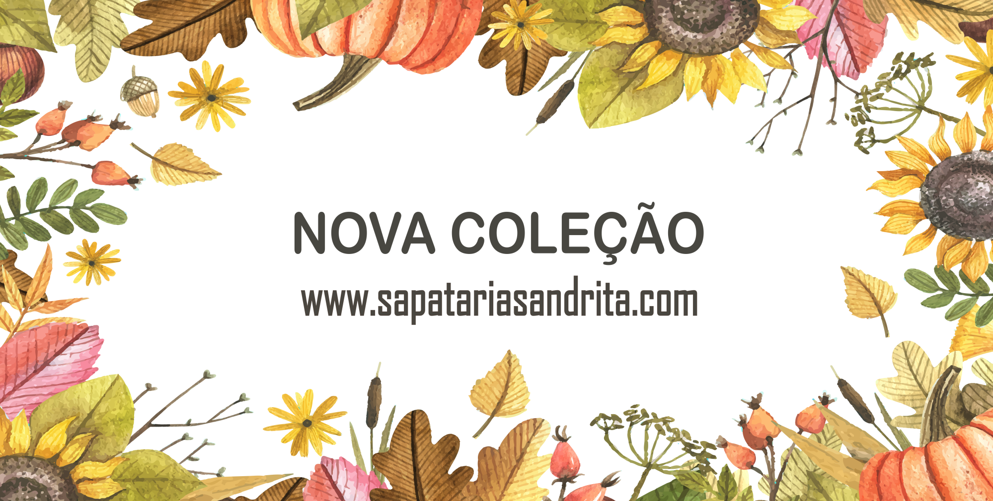 Nova Coleção